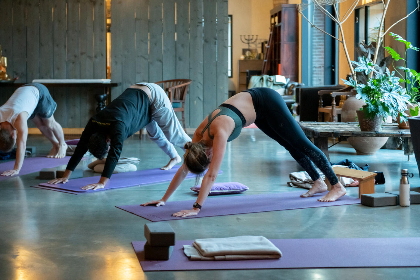 Yoga Yoga